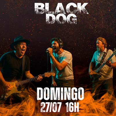 BLACK DOG